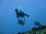 Hawaii Scuba divng 85