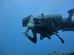 Hawaii Scuba divng 86