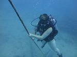 Hawaii Scuba divng 30