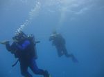 Hawaii Scuba divng 33