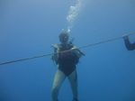 Hawaii Scuba divng 34