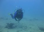 Hawaii Scuba divng 37