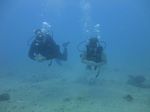 Hawaii Scuba divng 39