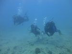 Hawaii Scuba divng 40