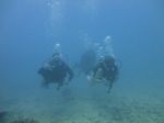 Hawaii Scuba divng 45