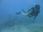 Hawaii Scuba divng 48