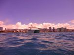 Hawaii Scuba divng 04