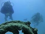 Hawaii Scuba divng 57