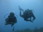 Hawaii Scuba divng 59