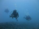 Hawaii Scuba divng 62