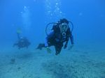 Hawaii scuba 18