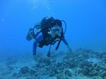 Hawaii scuba 55