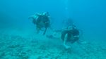 Hawaii Scuba divng 13