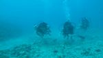 Hawaii Scuba divng 14