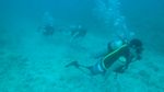 Hawaii Scuba divng 16