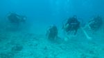 Hawaii Scuba divng 17