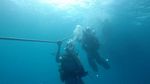 Hawaii Scuba divng 01