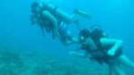 Hawaii Scuba divng 20