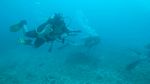 Hawaii Scuba divng 22