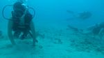 Hawaii Scuba divng 06