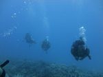 Hawaii Scuba divng 10