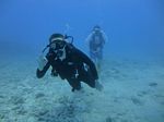 Hawaii Scuba divng 11