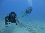 Hawaii Scuba divng 12