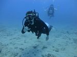 Hawaii Scuba divng 13