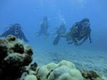 Hawaii Scuba divng 14