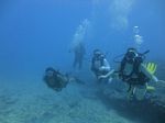 Hawaii Scuba divng 15