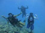 Hawaii Scuba divng 18