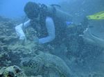 Hawaii Scuba divng 23