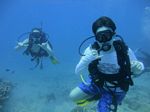 Hawaii Scuba divng 34