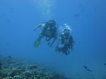 Hawaii Scuba divng 35