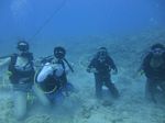 Hawaii Scuba divng 37