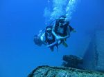 Hawaii Scuba divng 49