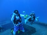 Hawaii Scuba divng 51