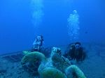 Hawaii Scuba divng 58