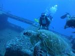 Hawaii Scuba divng 60