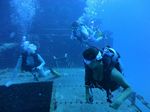 Hawaii Scuba divng 64