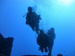 Hawaii Scuba divng 66