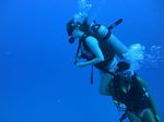 Hawaii Scuba divng 67