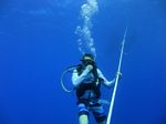 Hawaii Scuba divng 76