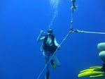 Hawaii Scuba divng 77