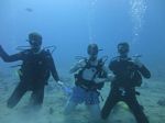 Hawaii Scuba divng 10