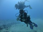 Hawaii Scuba divng 11