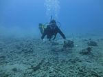 Hawaii Scuba divng 12