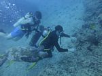 Hawaii Scuba divng 32