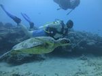 Hawaii Scuba divng 33