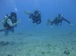 Hawaii Scuba divng 36